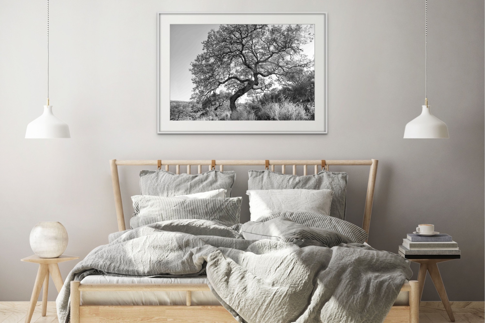 60x90 Searching